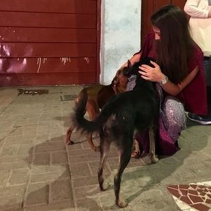 Meet your Posher, Kathleen